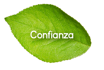 Confianza